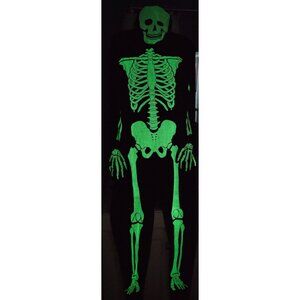 Full Body Glow in the Dark Skeleton Costume Bodysuit Hooded Halloween Adult XL